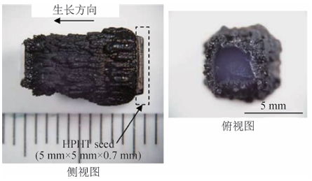 微信图片_20241101110746.png